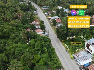 Lot For Sale In San Isidro, Baclayon
