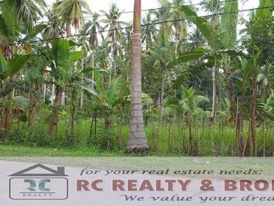 FOR SALE:Residential Lot, San Mi For Sale Philippines