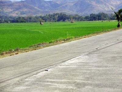 0.7 Hectare Ricefield Lot for sale in Malasin, Dupax Del Norte