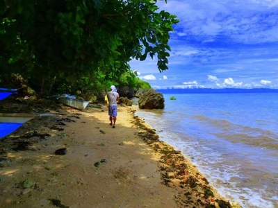 1 Hectare Beach Front Lot For Sale in Mcarthur, Tudela, Cebu