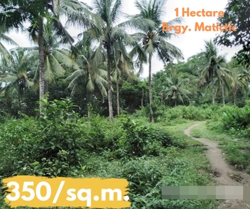 1 Hectare FARM LAND Norzagaray, Bulacan