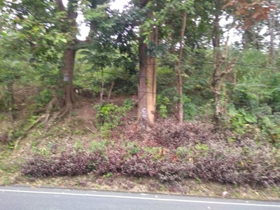 1 hectare for sale lot along main road ,baguio city,commercial purposes