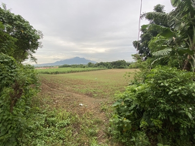 1 hectare Lot for sale in Barangay burol calamba laguna