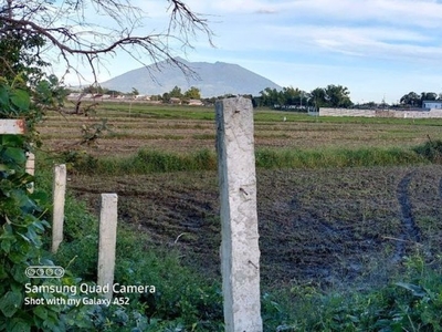 1 Hectare Lot For Sale in Bical, Mabalacat, Pampanga