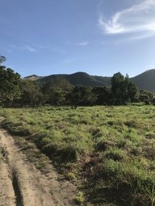 1 Hectare Lot in Coron along National Highway