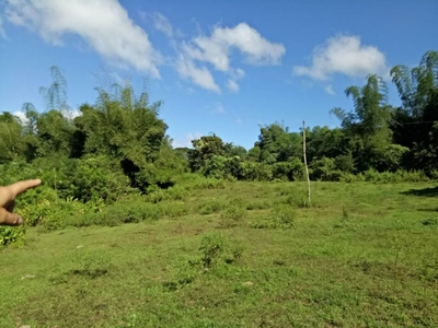 1 to 3 hectares fo sale in Sta maria bulacan