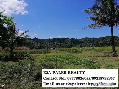 10 Hectares Agricultural Lot