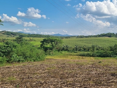 10 Hectares Agricultural Lot Rush for Sale in Maddela, Quirino