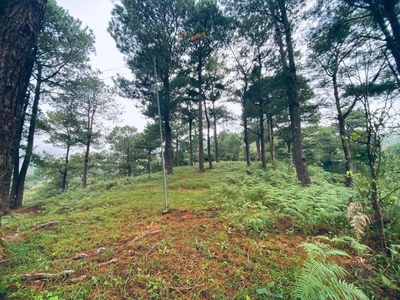100 sq. meters Residential Lot for sale in Dontogan, Baguio City