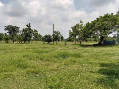 100 sqare meters Farm Lot for Sale in Litlit, Silang, Cavite