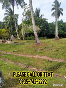 1000 SQ M RESIDENTIAL LOT FOR SALE php1. 9M SAMAL ISLAND