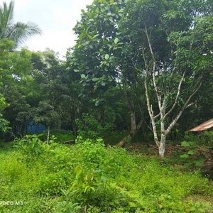 1000 SQM LOT / Lowest in the Market