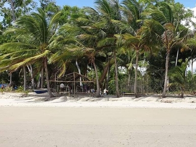 1,000 sqm Non-Beach Front Lot For Sale in Tigman, Aborlan City, Palawan