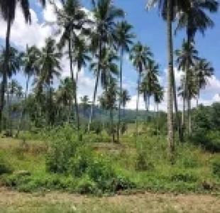 1,000 sqm Residential Lot For Sale in Hampipila, Abuyog, Leyte