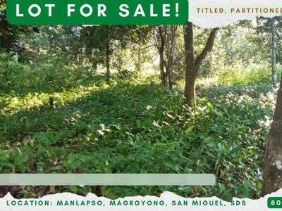1,000 sqm Residential Lot For Sale in Magroyong, San Miguel, Surigao del Sur