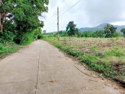 1,000 square meters Farm Lot for sale in Tuy, Batangas