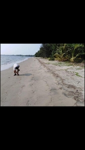 1000sqm Beach Front Lot For Sale in Macalang Dasol Pangasinan