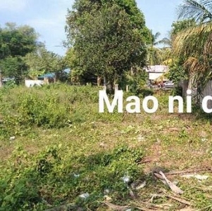 1,022sqm Residential Lot for Sale in Cantil-E, Dumaguete