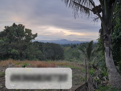 1.08 Hectare Lot for Sale in Pualas, Baungon, Bukidnon