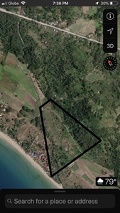 10.8 Hectares for sale by owner with clean Title and updated Tax Dec
