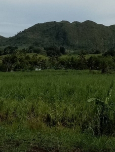 1.1 Hectare Agricultural Lot in Gawaygaway, San Remigio For Sale