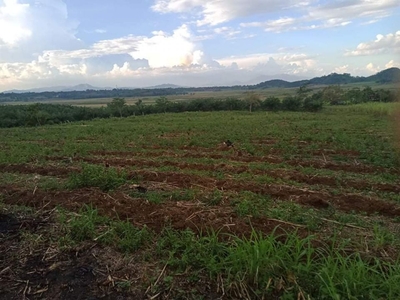 11 hectares agricultural land for sale in Kadingilan, Bukidnon