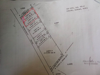 1,187 sqm Lot For Sale in Libaong Panglao Bohol ₱9,500 per square