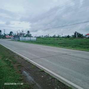 1.2 Hectare Commercial Lot For Sale in Camambugan, Ubay, Bohol