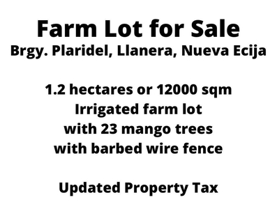 1.2 hectares Agricultural Lot for Sale in Brgy. Plaridel, Llanera, Nueva Ecija