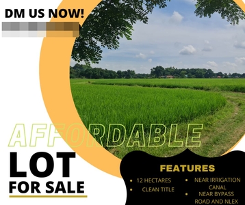 12 Hectares Lot For Sale in Pulilan, Bulacan near Bypass Road and NLEX