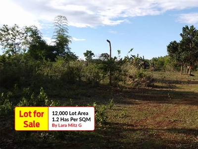 12,000 Square Meter Lot for sale in Das-Ag, Panglao Bohol
