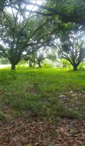 For Sale 2.7 Hectares Agricultural Farm in Padre Garcia Batangas