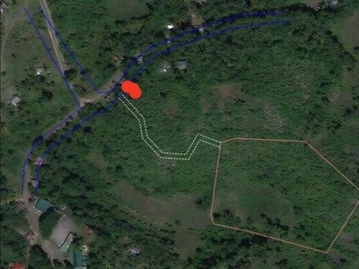 1.3 Hectare Panlautan, Siquijor Titled Lot, Only 250/sqm, Rush Sale