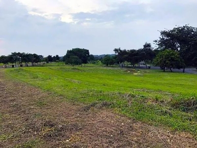 13.9 Hectare LOT TOWNSHIP West Mckinley Taguig City 500k per sqm