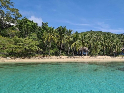 15 has. Dilis Beach Resort - Taytay, Palawan