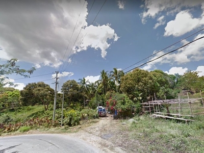 1.5 hectare property in Sitio Aduas Bgy. San Jose, Antipolo for sal