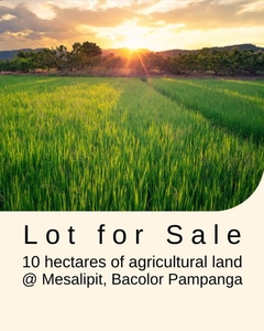 15 hectares Agricultural Lot for Sale in Mesalipit, Bacolor, Pampanga