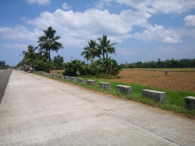 1.5 Hectares Commercial/Residential Land in Abuyog Leyte