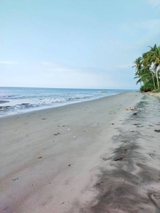 1,500 sqm Beach Lot For Sale in Masaling, Cauayan, Negros Occidental