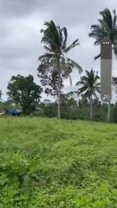 1,520 sq.m. Agricultural Lot For Sale in Suplang, Tanauan, Batangas