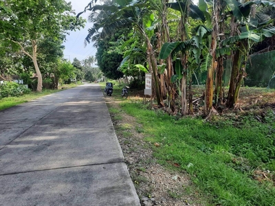 1583 sq. meters Lot/Commercial for sale in Madalunot, Calaca, Batangas