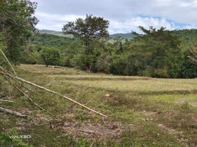 16 Hectares Agricultural Lot in Tanay, Rizal