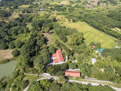 1.6 Hectares fully developed Orchard Estate For Sale (price slashed!) Pozorrubio