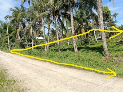 1,680 sqm Residential Lot For Sale in Tulic, Argao, Cebu - PHP 6M