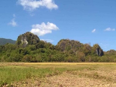 1.7-Hectare Titled Lot for Sale in El Nido, Palawan