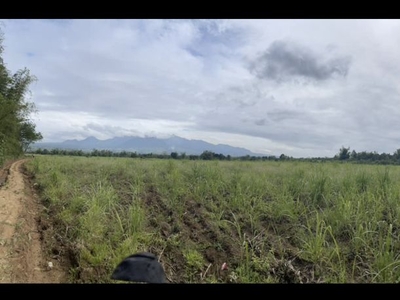 17 Hectares Agricultural Land For Sale in Murcia, Negros Occidental
