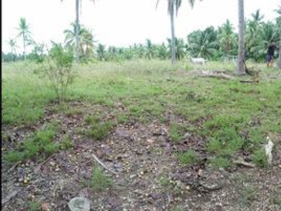 1700 sq.m Agricultural Lot. (Lumbang, Dalaguete, Cebu, Philippines 6000)