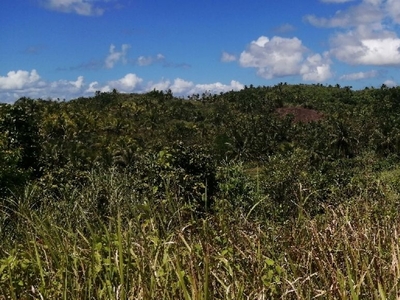17,400 sq.m. Agricultural Land For Sale in Tignao, Lazi, Siquijor
