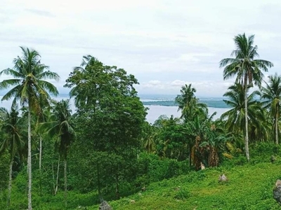 179 sq. meters Overlooking Lot for sale in Island of garden Samal, Samal