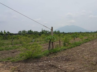 1.8 hectare land lof for sale Mexico Pampanga